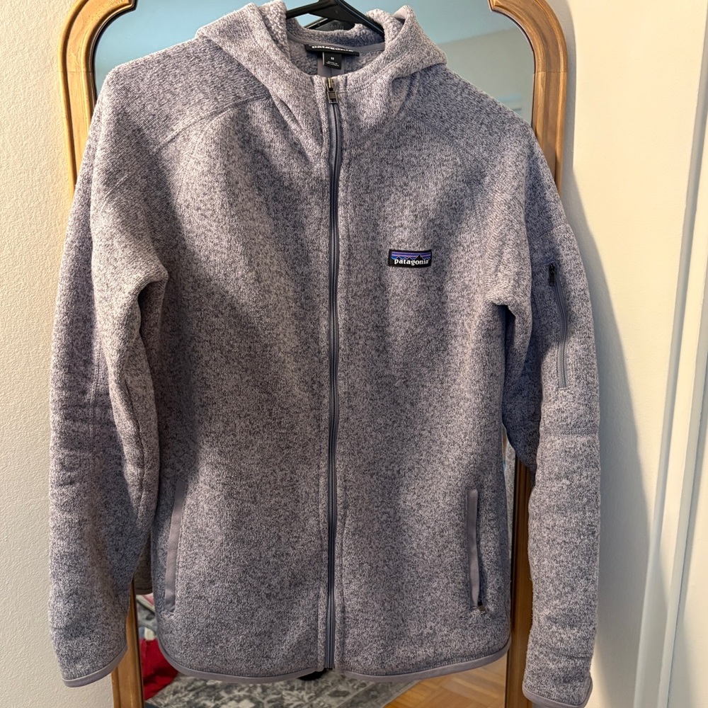Patagonia Better Sweater with hood